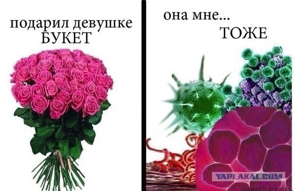 Веселости попавшиеся на глаза сегодня
