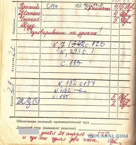 Мои школьные дневники 1-11 класс