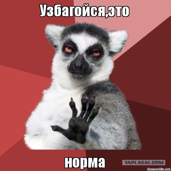 Драка на соревнованиях по вольной борьбе