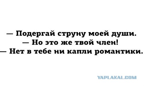 Картинки  разные