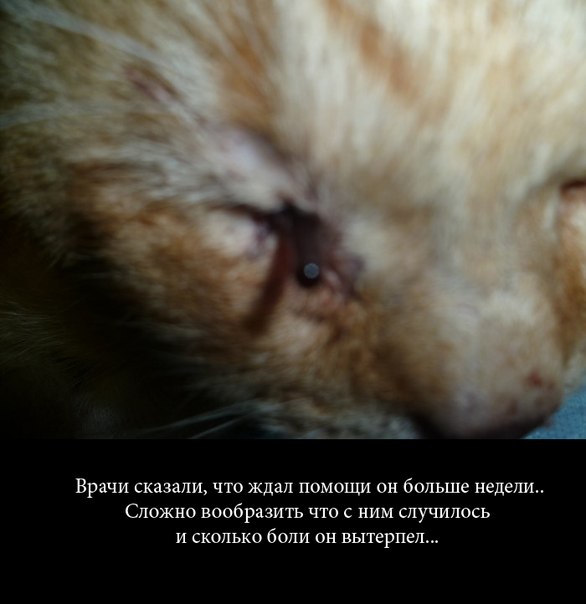 Что может сотворить любовь и забота