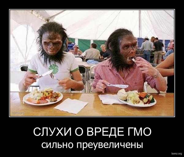 Мифы нашего времени: ГМО