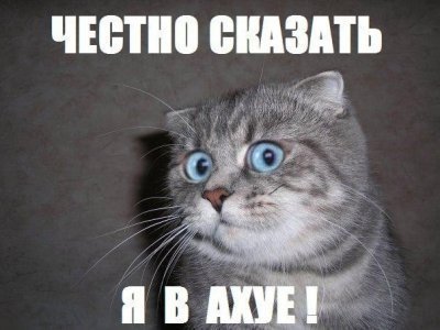 Новый украинский сериал "Гвардия"