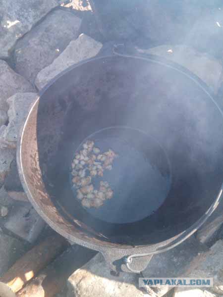 Кулинарный туризм.