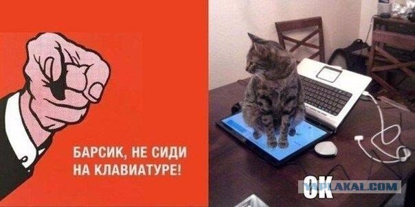 Прикольные картинки