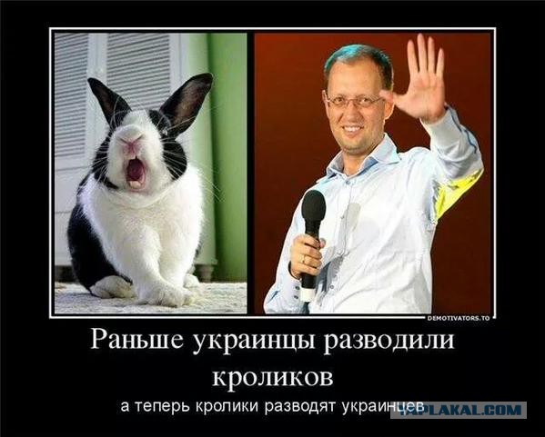 Украина дефолт