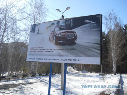 Фотографа-бракодела хотят засудить молодожены