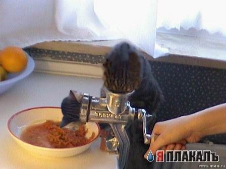 Как делают фарш