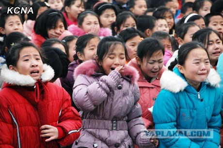 Просто пятеро детей из Северной Кореи играют на гитарах