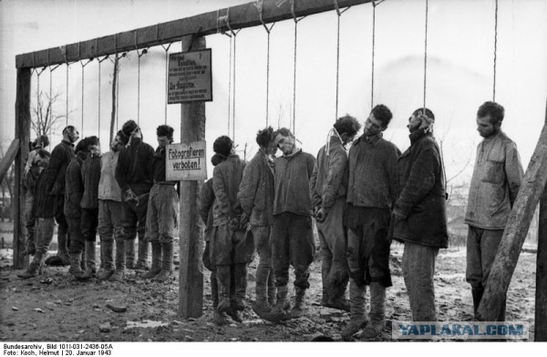 Про "зверства" советских освободителей в Европе….