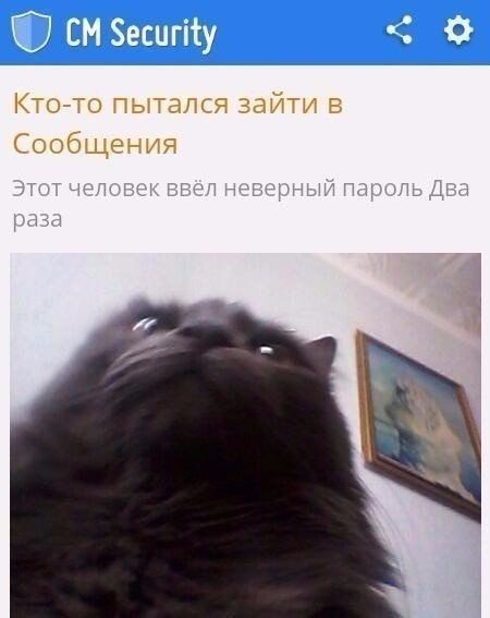 Мохнатые беспредельщики