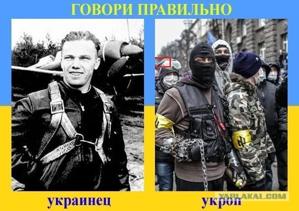 Почему украинцы ненавидят русских…