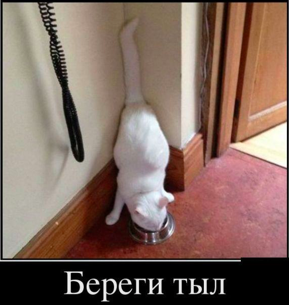 Улыбнись - демотиваторы заЯПись