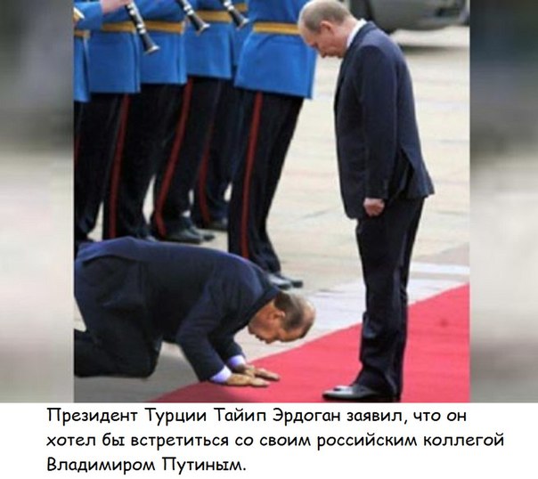 Президент Турции извинился перед Путиным за сбитый Су-24