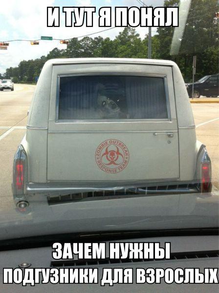 Порция картинок на пятницу