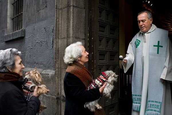 Благословение домашних животных в Мадриде