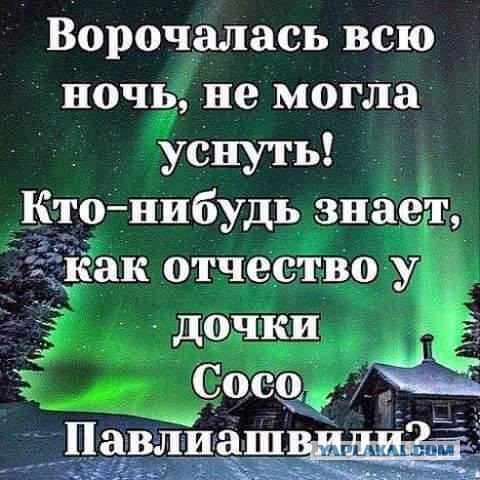 Смешные картинки из сети