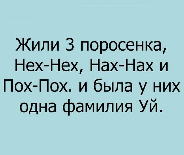 Порция абсурдного юмора на следующую неделю