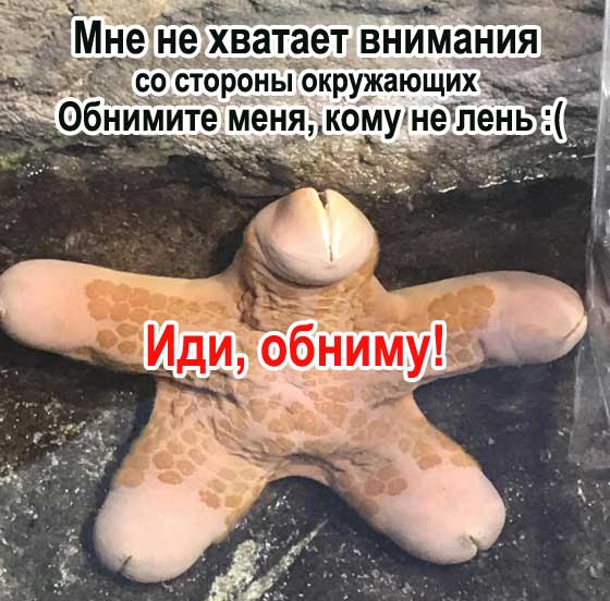 Подборка интересных и веселых картинок
