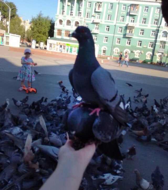 Соцсети - и смех и грех
