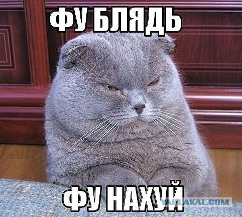 Пять влагалищ