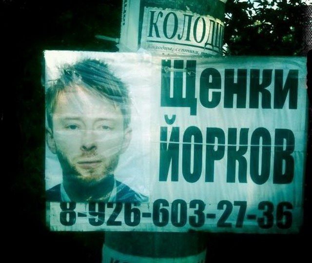 Скотсети и прочие интернеты 07.11.17