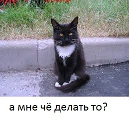 Ездить на черных авто запретили в Туркменистане