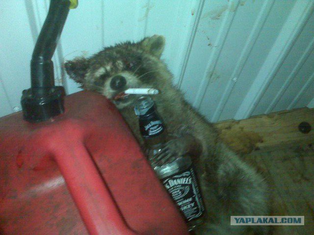 Журнал "Деградант" Happy New year edition 16+