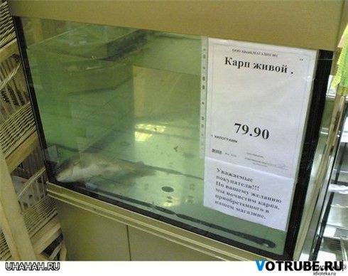 Объявления