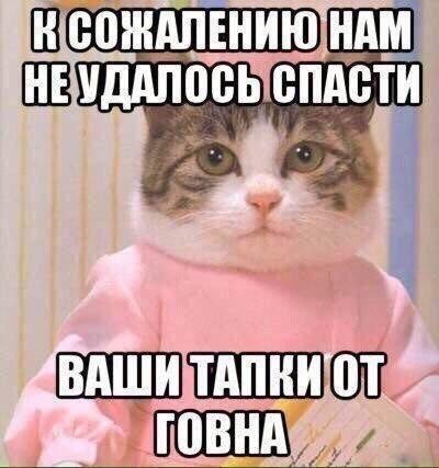Бредзона 25.12.2019