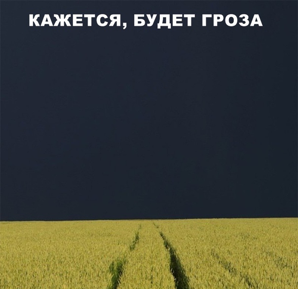 Чуток картинок! 26.12.19