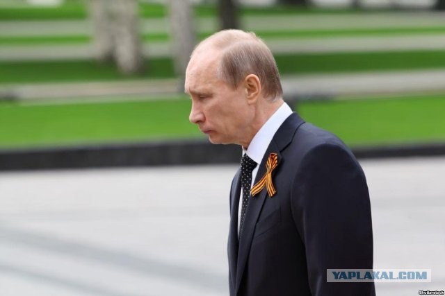 Путин поручил правительству создать базу генетической информации