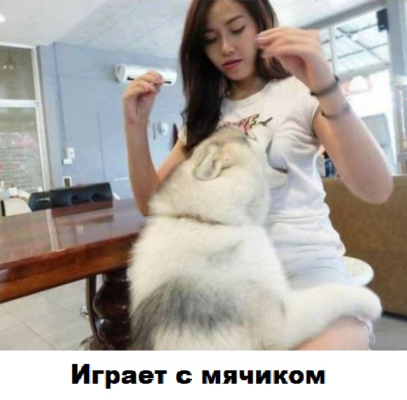 Так себе картинки 09.06.20