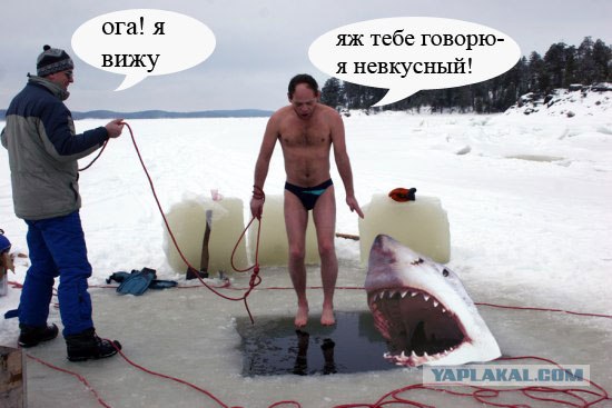 На живца