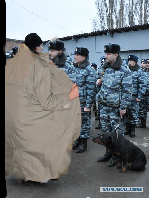Во имя отца, сына....