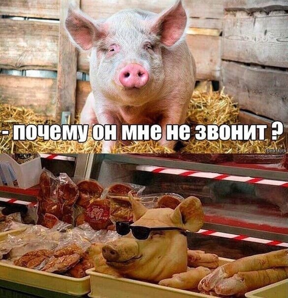 Дурацкие картинки