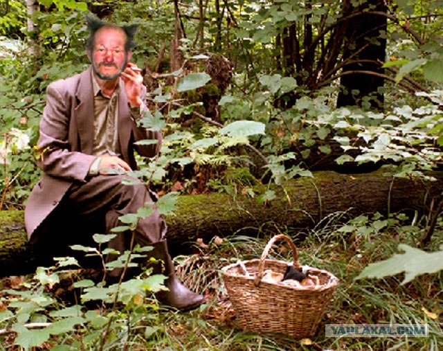 Домовенок...