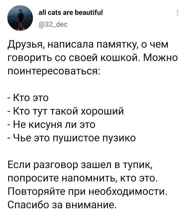 Картинки и мемы для настроения