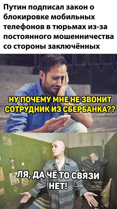 Весёлый полтишок 11.03
