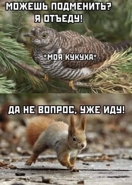 Всяческие картинки 15.07.2021