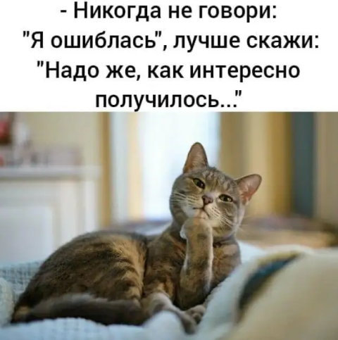 Погнали! С котовторником, други!