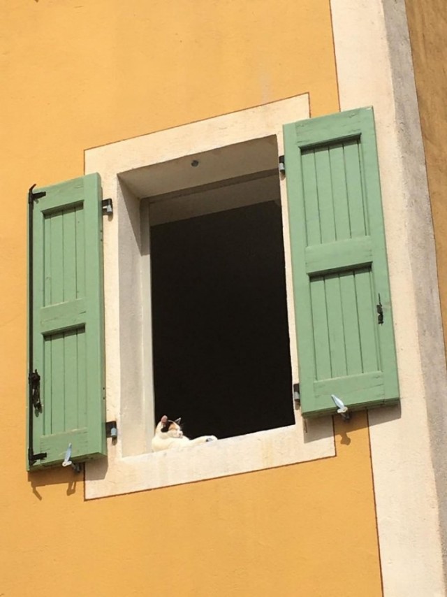 Картинки и мемы для настроения 05.08.2021