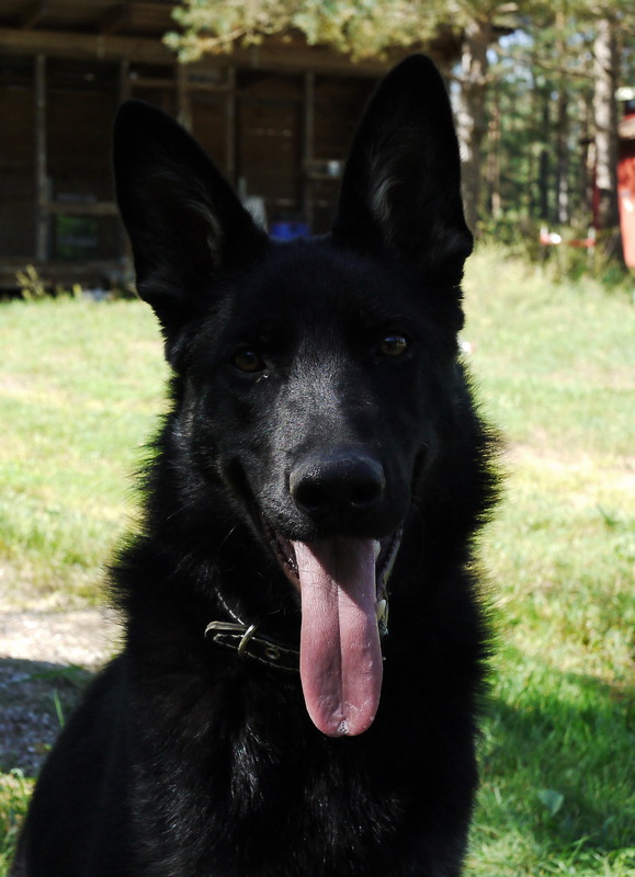 Когда то я была меньше кота, а теперь мы друзья