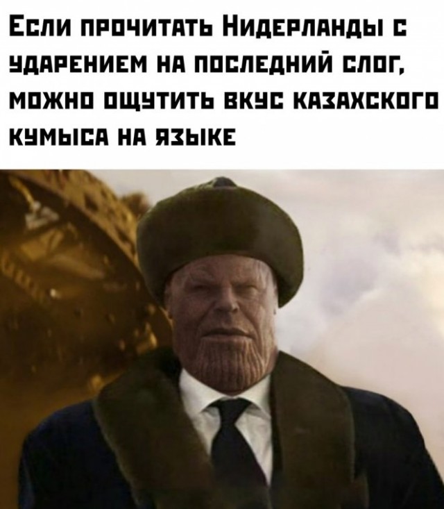 Человек собаке друг и другие картинки под настроение 13.01.2022