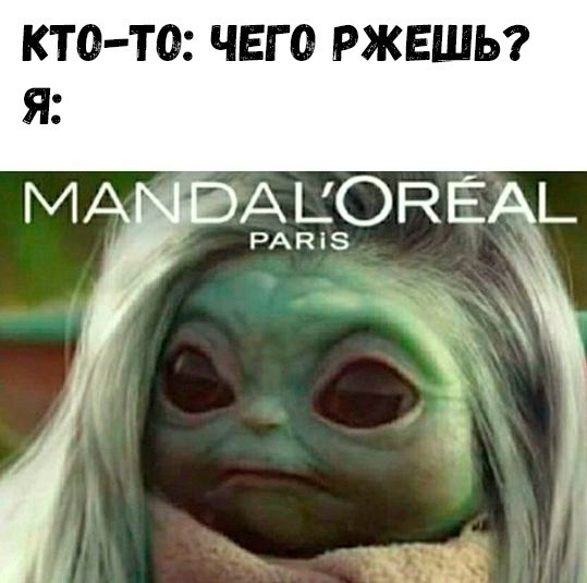 Весёлый полтишок 01.02