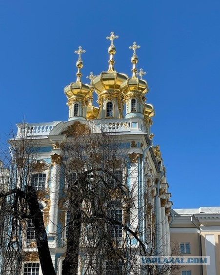 Иногда женщин тянет на правду