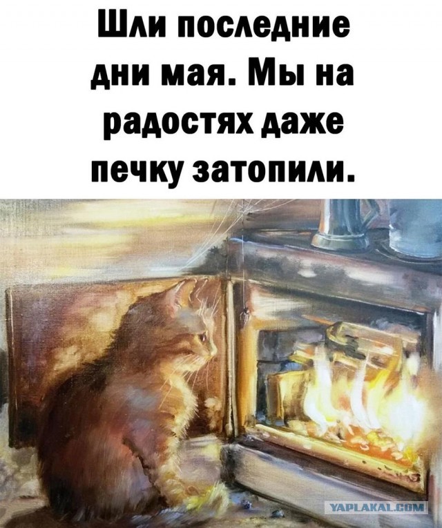 Наступает жара, поставь наконец-то замки на окна!
