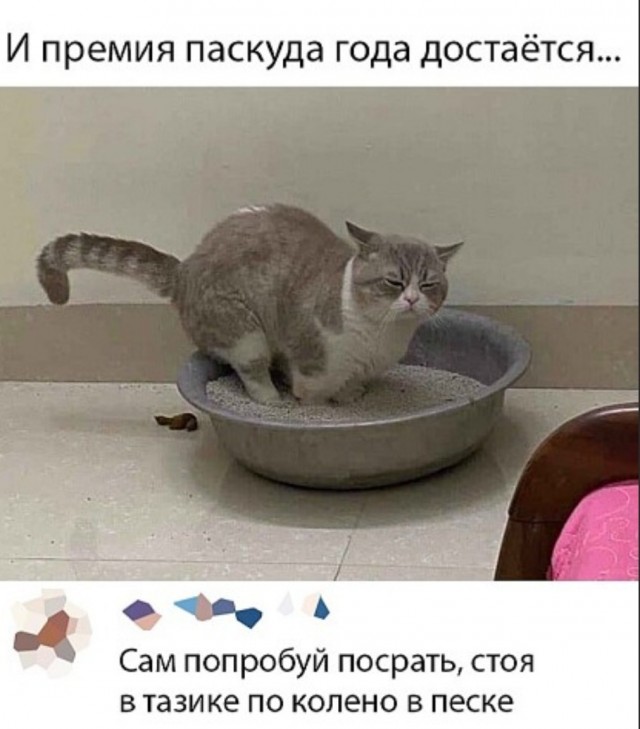 Скриншоты и комментарии из социальных сетей 17.07.22