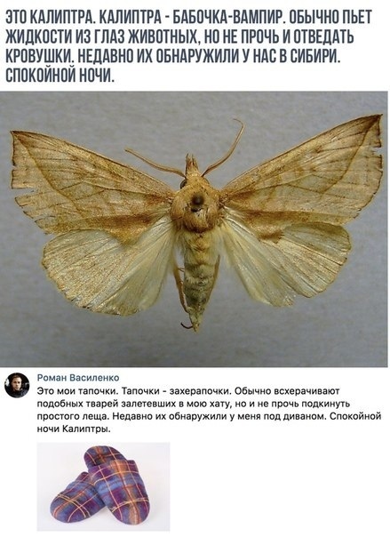 Юмор в картинках и без 04.10.2022