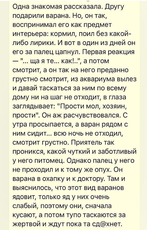Юмор в картинках и без 15.12.2022